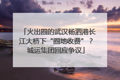 火出圈的武汉杨泗港长江大桥下“圈地收费”？城运集团回应争议
