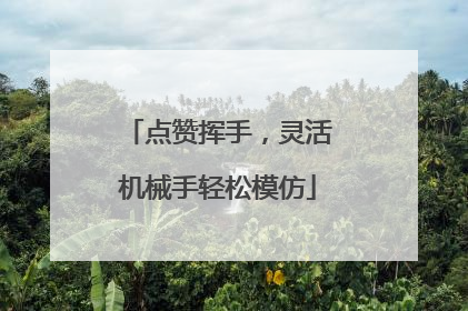 点赞挥手，灵活机械手轻松模仿