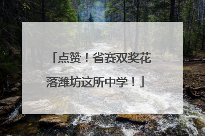 点赞！省赛双奖花落潍坊这所中学！