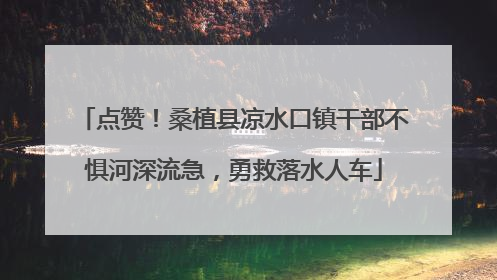 点赞！桑植县凉水口镇干部不惧河深流急，勇救落水人车