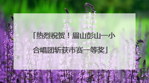热烈祝贺！眉山彭山一小合唱团斩获市赛一等奖