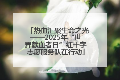 热血汇聚生命之光——2025年“世界献血者日”红十字志愿服务队在行动