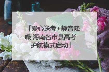 爱心送考+静音降噪 海南各市县高考护航模式启动