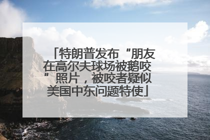 特朗普发布“朋友在高尔夫球场被鹅咬”照片，被咬者疑似美国中东问题特使