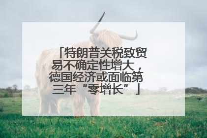特朗普关税致贸易不确定性增大，德国经济或面临第三年“零增长”