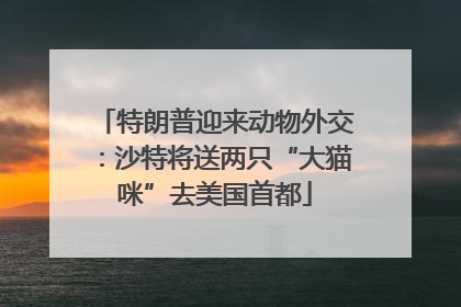 特朗普迎来动物外交：沙特将送两只“大猫咪”去美国首都