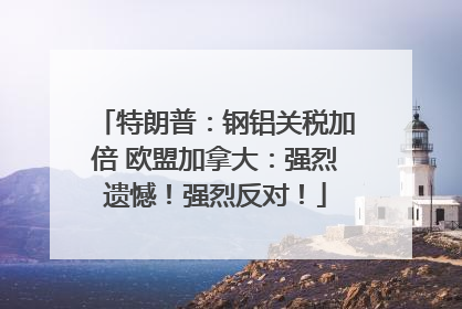 特朗普：钢铝关税加倍 欧盟加拿大：强烈遗憾！强烈反对！