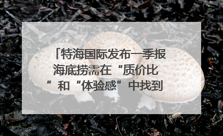 特海国际发布一季报 海底捞需在“质价比”和“体验感”中找到平衡｜新经济观察