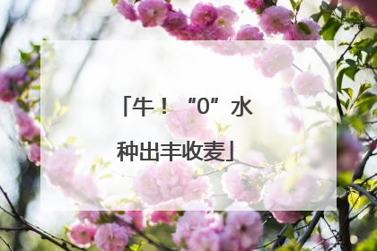 牛！“0”水种出丰收麦