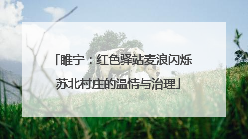 睢宁：红色驿站麦浪闪烁 苏北村庄的温情与治理