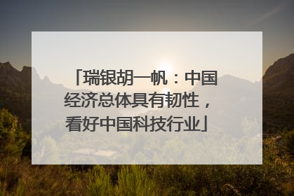 瑞银胡一帆：中国经济总体具有韧性，看好中国科技行业