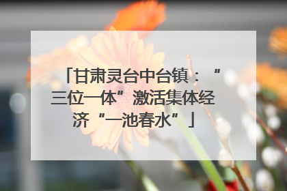 甘肃灵台中台镇：“三位一体”激活集体经济“一池春水”