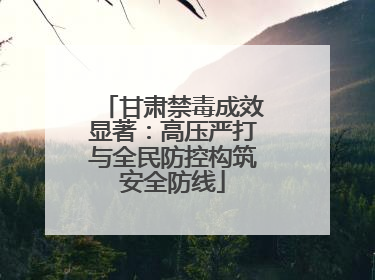 甘肃禁毒成效显著：高压严打与全民防控构筑安全防线