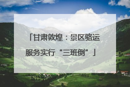 甘肃敦煌：景区骆运服务实行“三班倒”