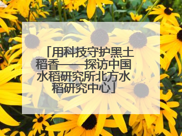 用科技守护黑土稻香——探访中国水稻研究所北方水稻研究中心