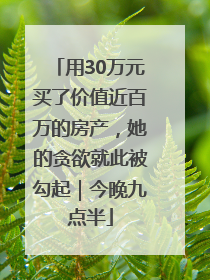 用30万元买了价值近百万的房产，她的贪欲就此被勾起｜今晚九点半