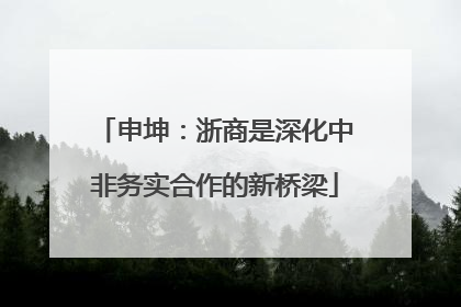 申坤：浙商是深化中非务实合作的新桥梁