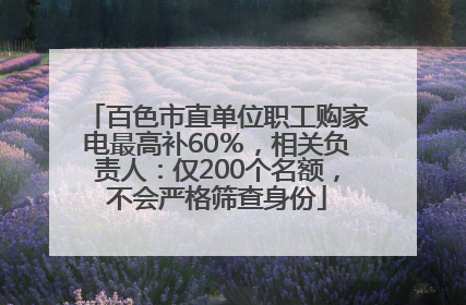 百色市直单位职工购家电最高补60％，相关负责人：仅200个名额，不会严格筛查身份