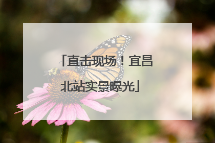 直击现场！宜昌北站实景曝光