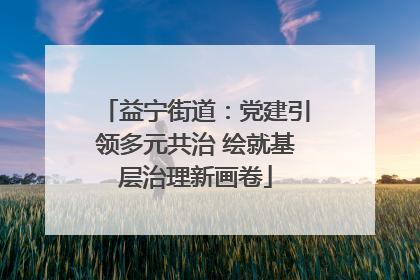 益宁街道：党建引领多元共治 绘就基层治理新画卷
