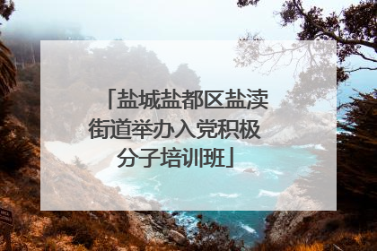 盐城盐都区盐渎街道举办入党积极分子培训班