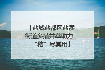 盐城盐都区盐渎街道多措并举助力“秸”尽其用