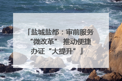 盐城盐都：审前服务“微改革” 推动便捷办证“大提升”