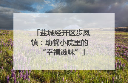 盐城经开区步凤镇：助餐小院里的“幸福滋味”