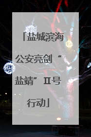 盐城滨海公安亮剑“盐靖”Ⅱ号行动