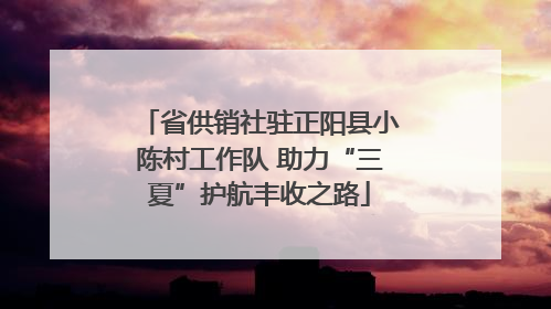 省供销社驻正阳县小陈村工作队 助力“三夏”护航丰收之路
