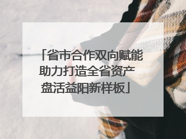 省市合作双向赋能 助力打造全省资产盘活益阳新样板