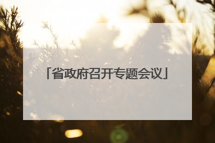 省政府召开专题会议