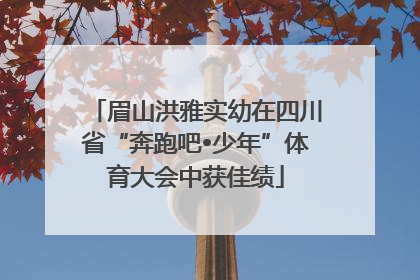 眉山洪雅实幼在四川省“奔跑吧•少年”体育大会中获佳绩