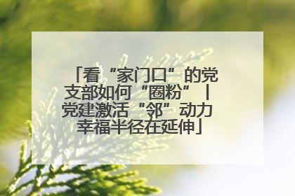 看“家门口”的党支部如何“圈粉”丨党建激活“邻”动力 幸福半径在延伸
