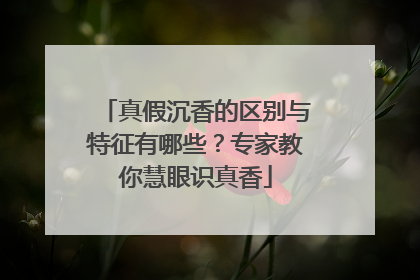 真假沉香的区别与特征有哪些？专家教你慧眼识真香
