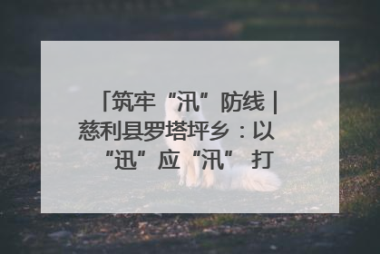 筑牢“汛”防线｜慈利县罗塔坪乡：以“迅”应“汛” 打赢暴雨防御战