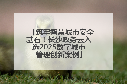筑牢智慧城市安全基石！长沙政务云入选2025数字城市管理创新案例