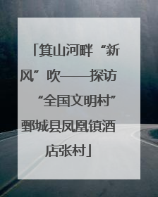 箕山河畔“新风”吹——探访“全国文明村”鄄城县凤凰镇酒店张村