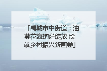 禹城市中街道：油葵花海绚烂绽放 绘就乡村振兴新画卷