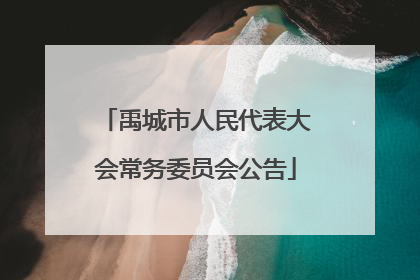 禹城市人民代表大会常务委员会公告