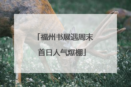 福州书展遇周末 首日人气爆棚
