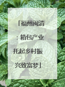 福州闽清：箱包产业托起乡村振兴致富梦