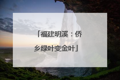 福建明溪：侨乡绿叶变金叶