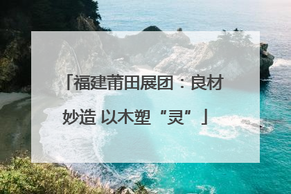 福建莆田展团：良材妙造 以木塑“灵”