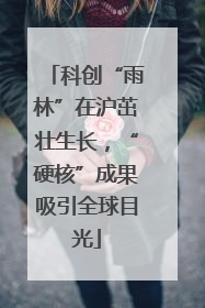 科创“雨林”在沪茁壮生长，“硬核”成果吸引全球目光