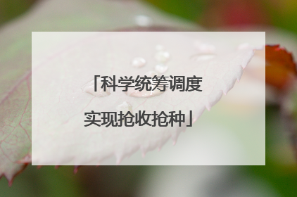 科学统筹调度实现抢收抢种