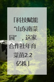 科技赋能“山东南菜园”，这家合作社年育菜苗2.2亿株