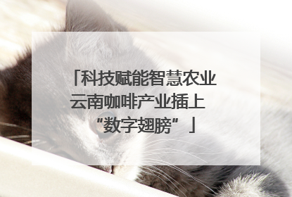 科技赋能智慧农业 云南咖啡产业插上“数字翅膀”