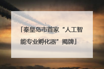 秦皇岛市首家“人工智能专业孵化器”揭牌