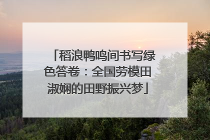稻浪鸭鸣间书写绿色答卷：全国劳模田淑娴的田野振兴梦